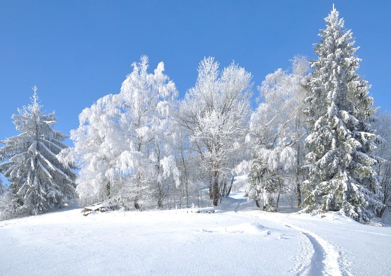 Nord America, l’Almanacco dei Contadini prevede un ritorno del freddo nell’inverno prossimo