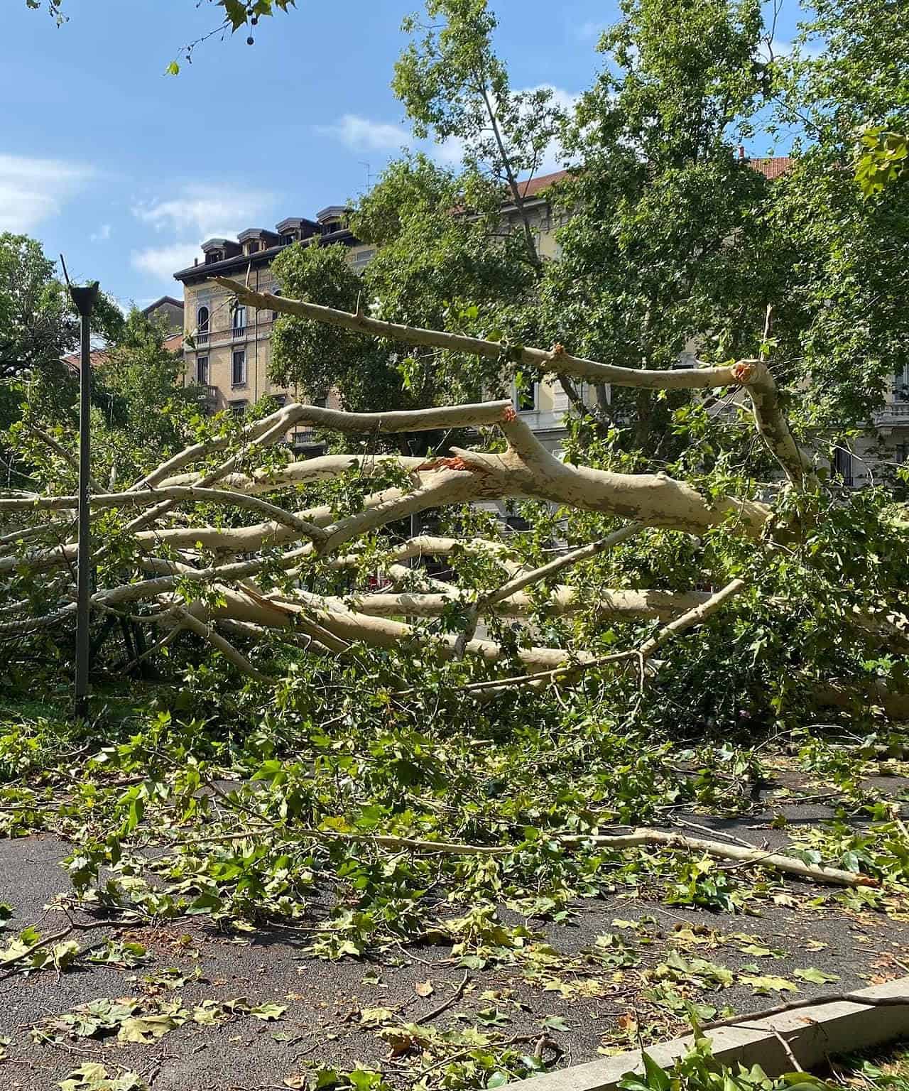 Meteo Milano e Lombardia, grandine e nubifragio dalla forza di uragano. Foto, video 2 2023 07 25 14.52.29