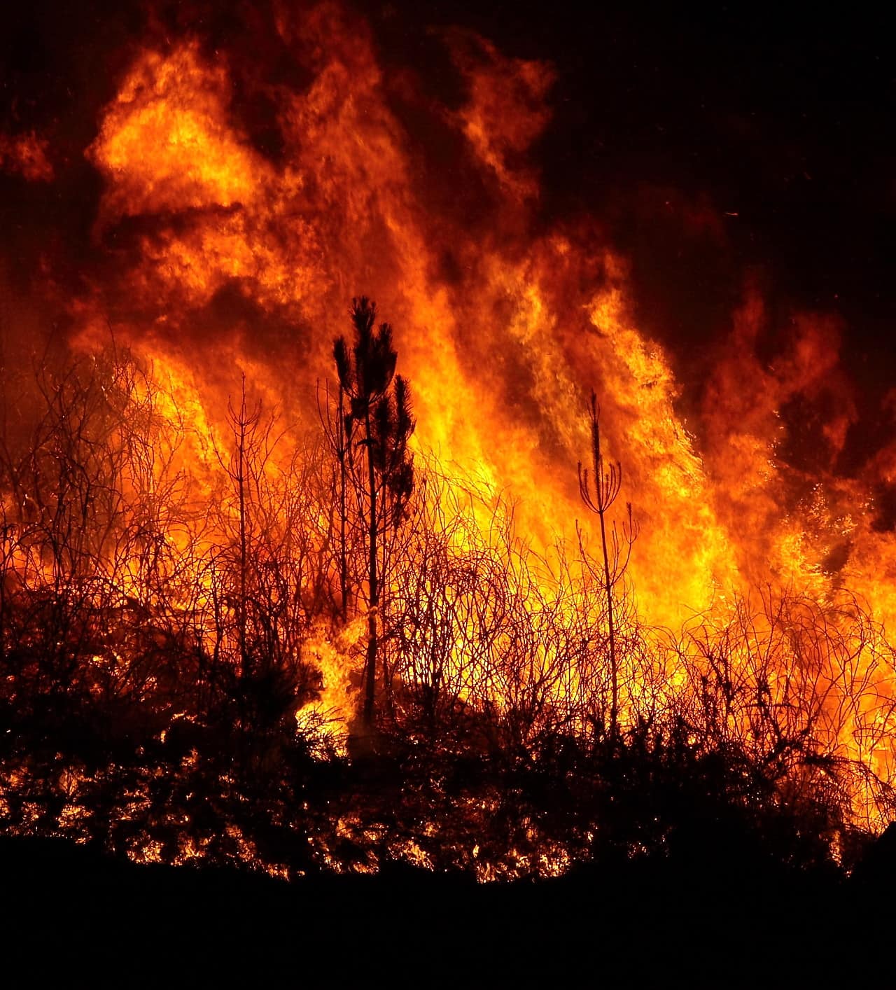 Elenco di 388 persone ufficialmente scomparse a Maui dopo incendi devastanti in Hawaii