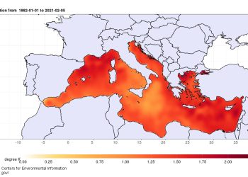 Ondata di calore marino. Credit CEAM.