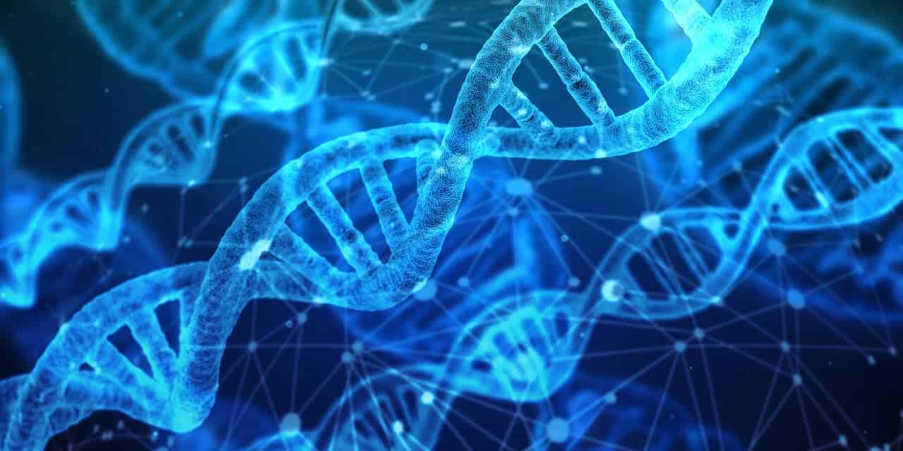 Scienziati scoprono una chiave epigenetica che svela comuni tumori letali