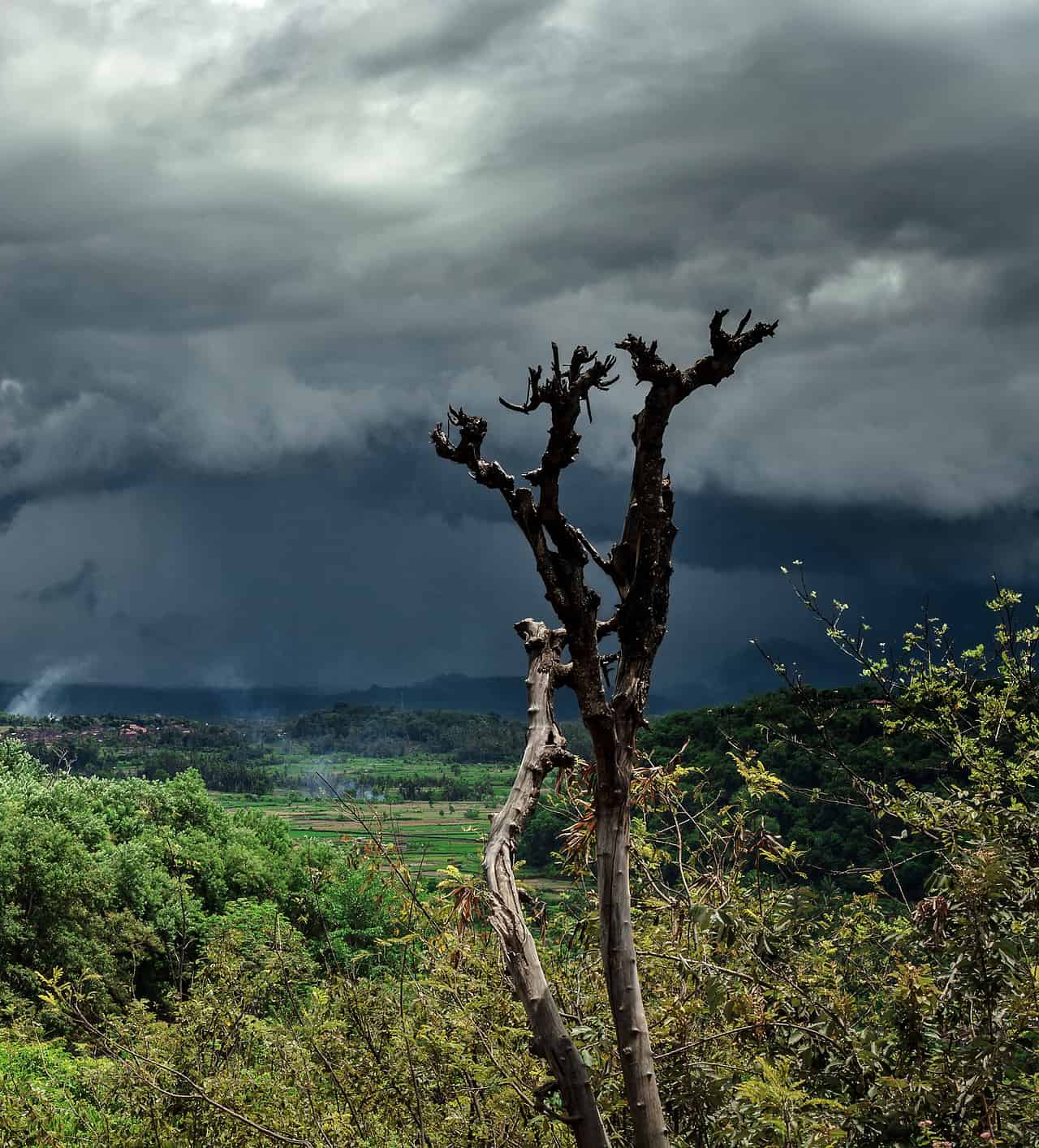 La tempesta tropicale “Calvin” colpisce le Hawaii