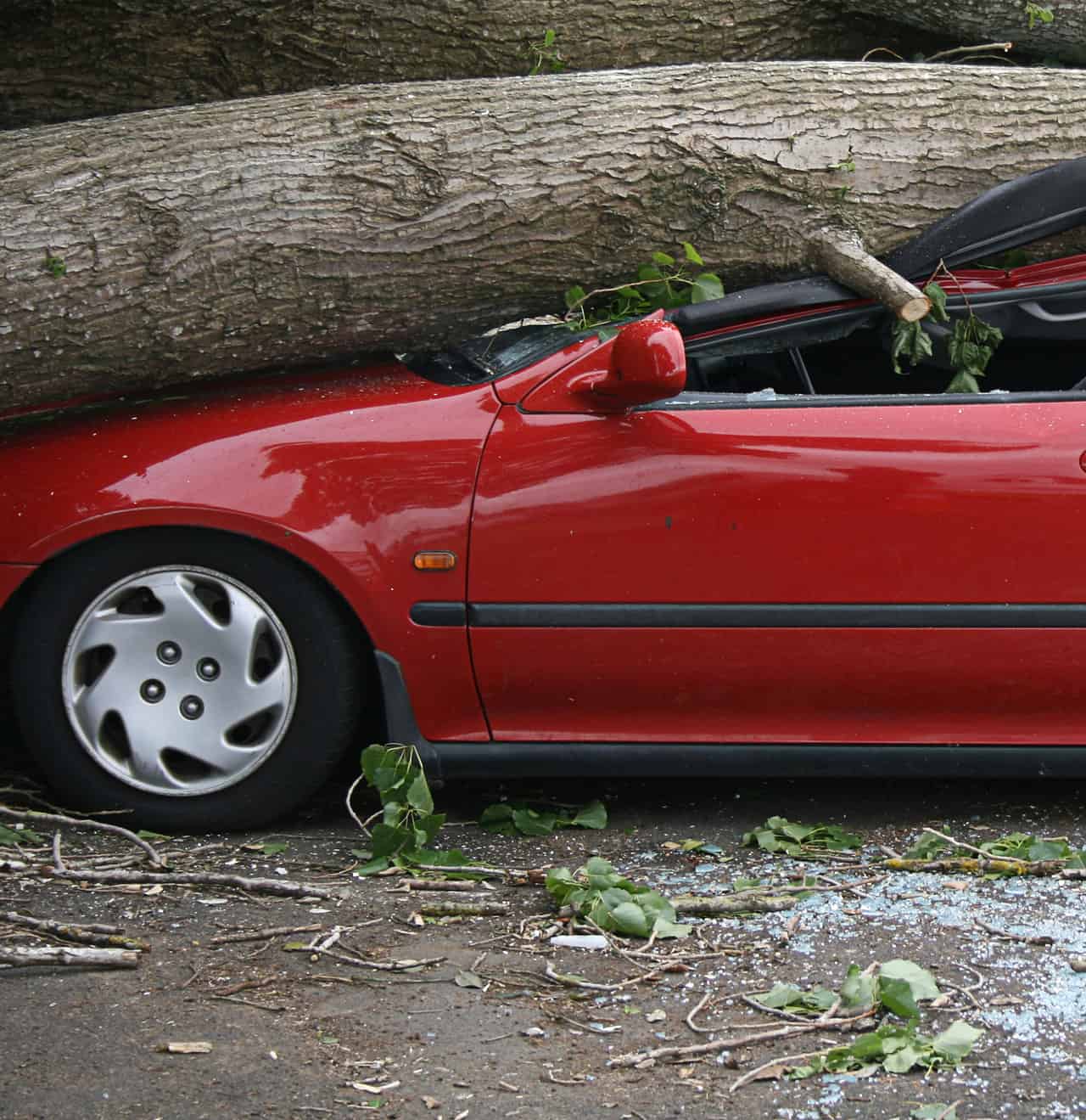 Ennesima vittima per albero caduto su auto durante un forte temporale