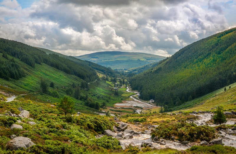 L’Unione Europea destina 45 milioni di euro per sostenere la salvaguardia ecologica delle foreste in Irlanda