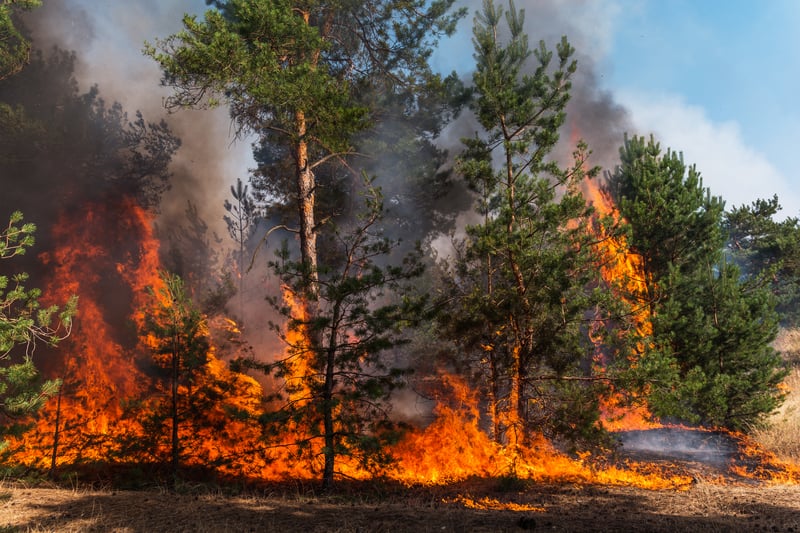 Non come pensavano gli scienziati: quali sono le cause di frane e inondazioni dopo gli incendi?