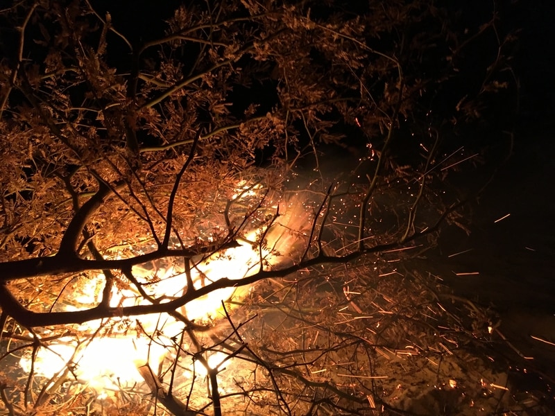 Due settimane dopo gli incendi a Maui le autorità che chiedono campioni di DNA per identificare le vittime