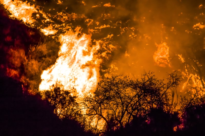 Viaggiatori avvisati di non visitare Maui dopo la tragica tempesta di fuoco devastante