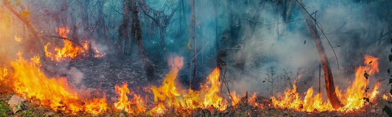 I Vigili del fuoco affrontano almeno una dozzina di incendi in Washington, migliaia di evacuati