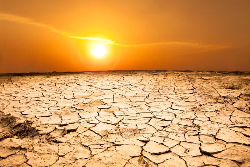 Luglio è stato il mese più caldo mai registrato nel mondo, dicono gli scienziati