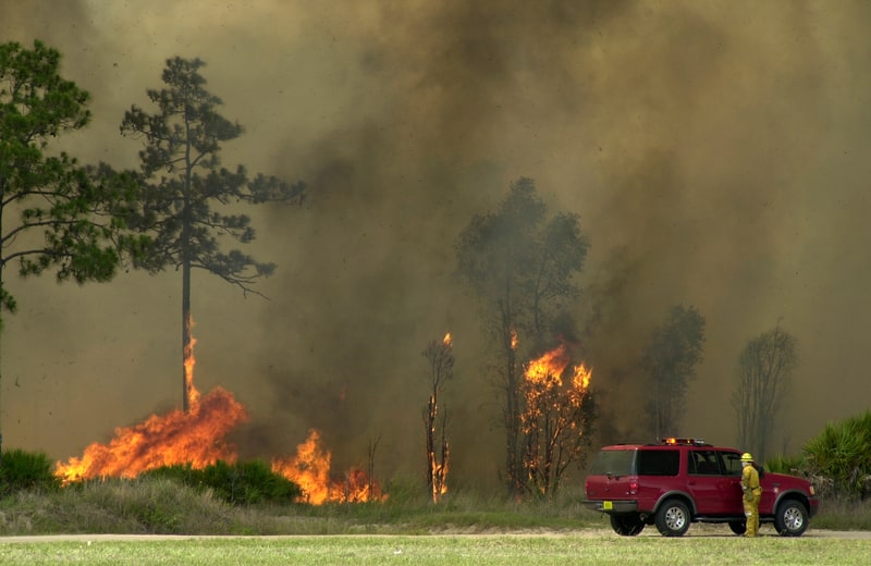 Hawaii, a Maui dopo gli incendi che hanno causato almeno 106 vittime, la vita riprende