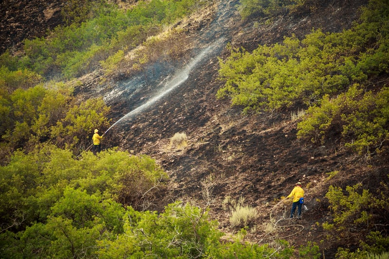 Ancora incendi in Sardegna 14 focolai, tra cui Sorgono