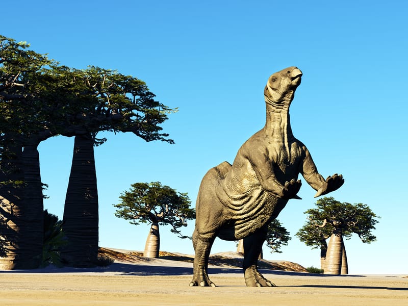 “Eravamo in Frenesia” – Scienziati esplorano un Colosseo di dinosauri