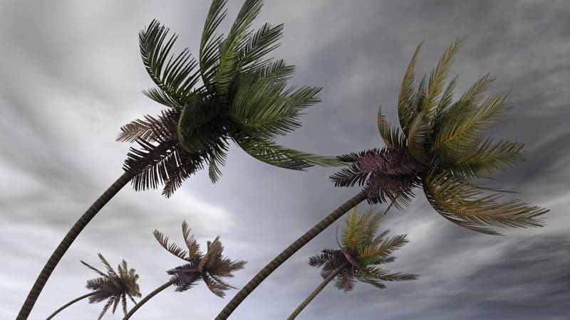 Formazione della Undicesima Depressione Tropicale nell’Atlantico attivo, gli uragani Idalia e Franklin colpiscono gli USA