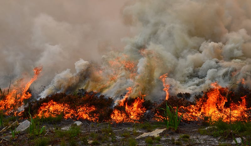 Incendio boschivo costringe all’evacuazione l’intera capitale dei Territori del Nordovest del Canada