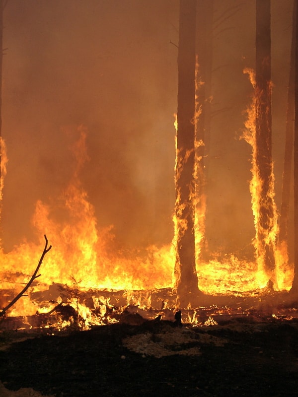 Incendio senza precedenti a Tenerife: la situazione è complessa