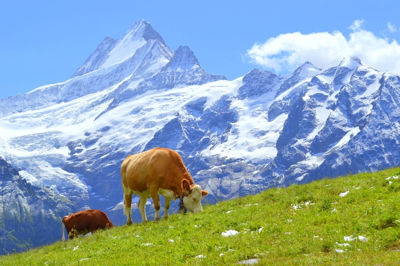 Zero termico oltre i 5000 metri di quota in Svizzera, è record?