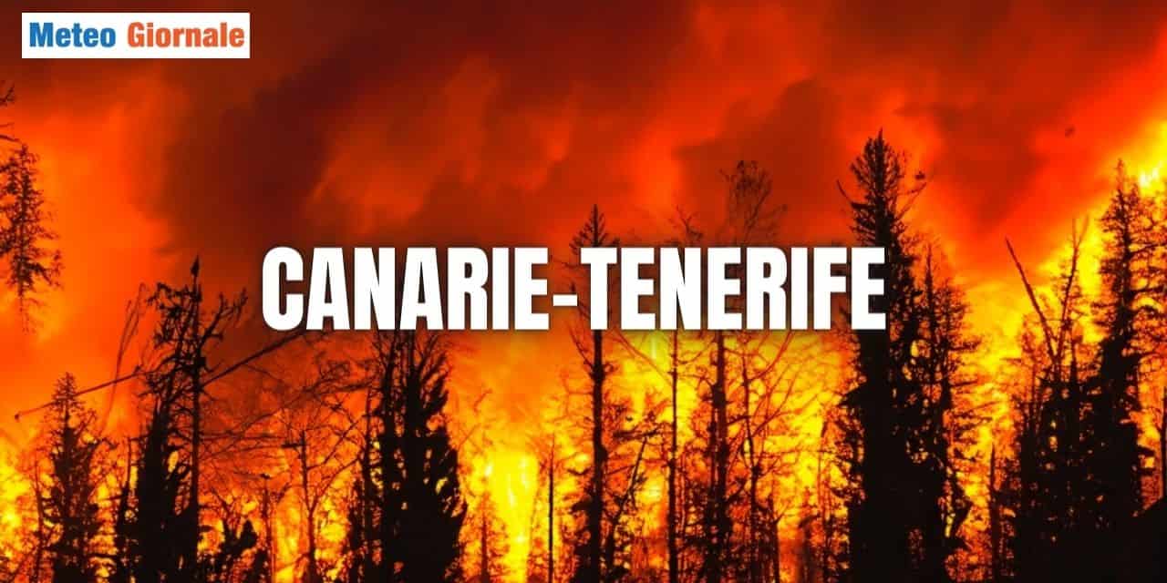 Tenerife in Fiamme: oltre 12.000 Persone Evacuate a seguito di vasti incendi