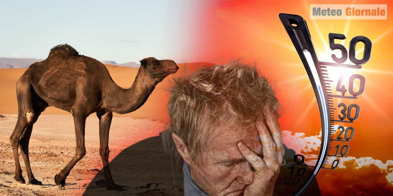 Il meteo record di LUGLIO ha distorto la percezione del caldo
