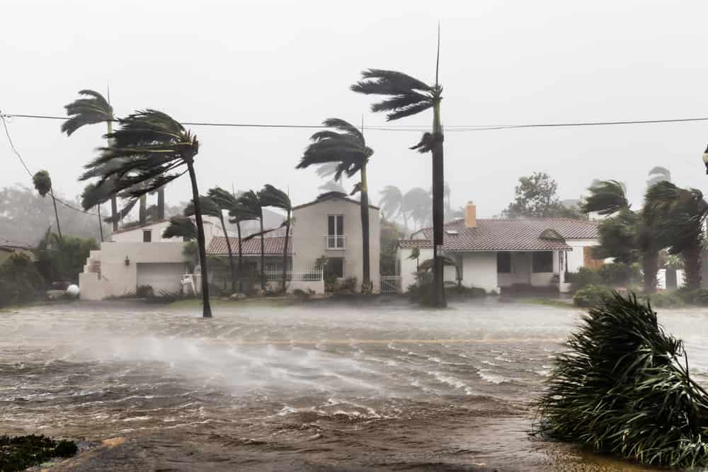 CALIFORNIA, allerta meteo, arriva uragano Hilary Cat. 4 in rinforzo a 5. Ma visto niente del genere