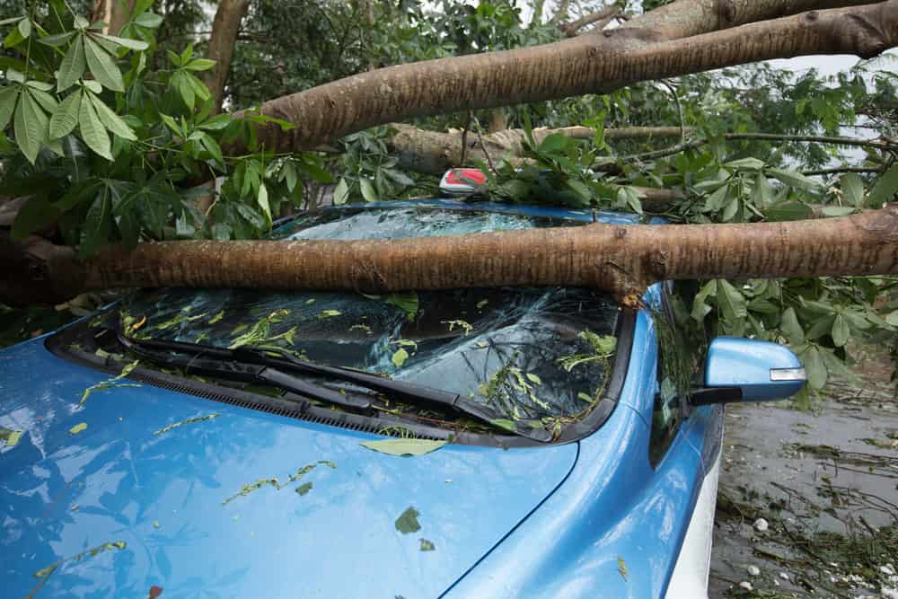 Coldiretti segnala 10 forti temporali in 24 ore nel Nord Italia a causa del maltempo