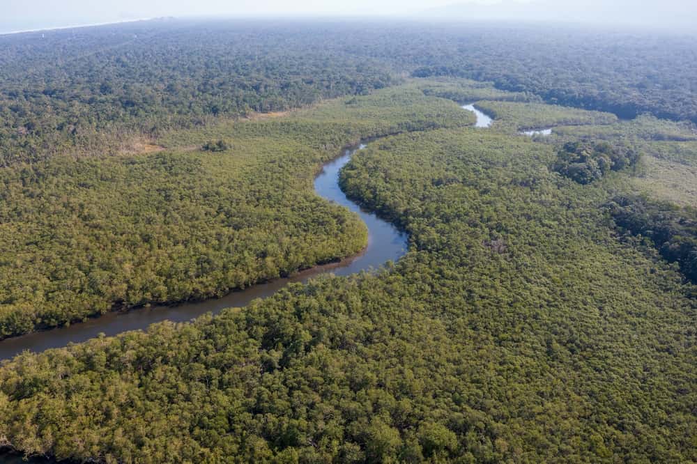 Amazzonia sino al Perù, nuovo grave pericolo per l’habitat