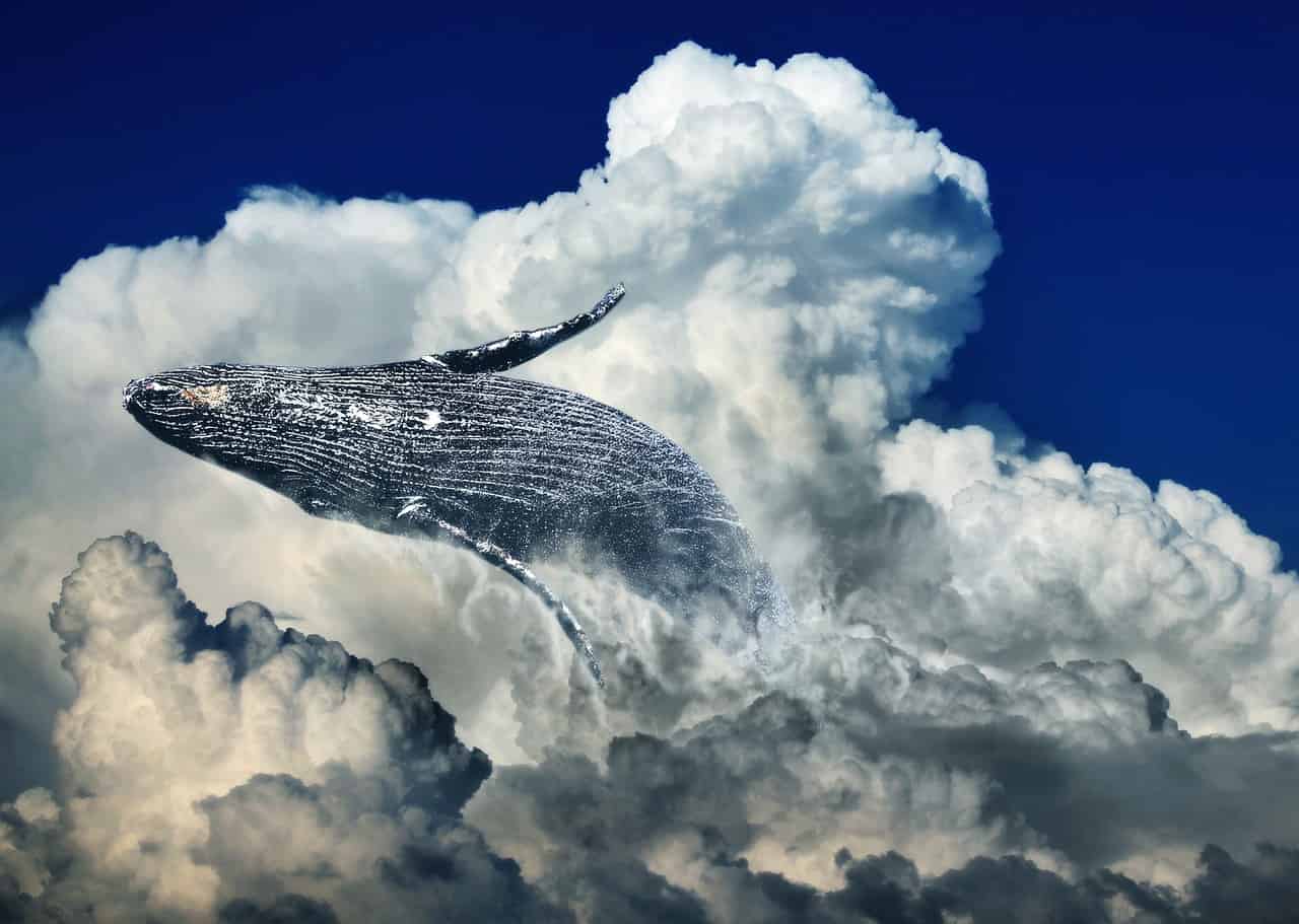 Fossile cinese mostra rettili che si nutrivano come le balene 250 milioni di anni fa