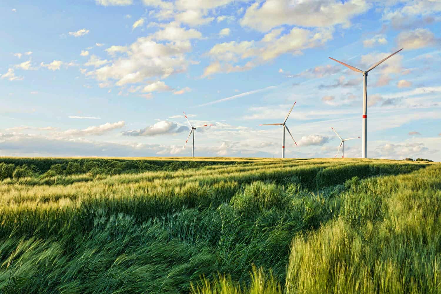 L’umanità è lontana dal raggiungere gli Obiettivi di Sviluppo Sostenibile per l’Agenda 2030