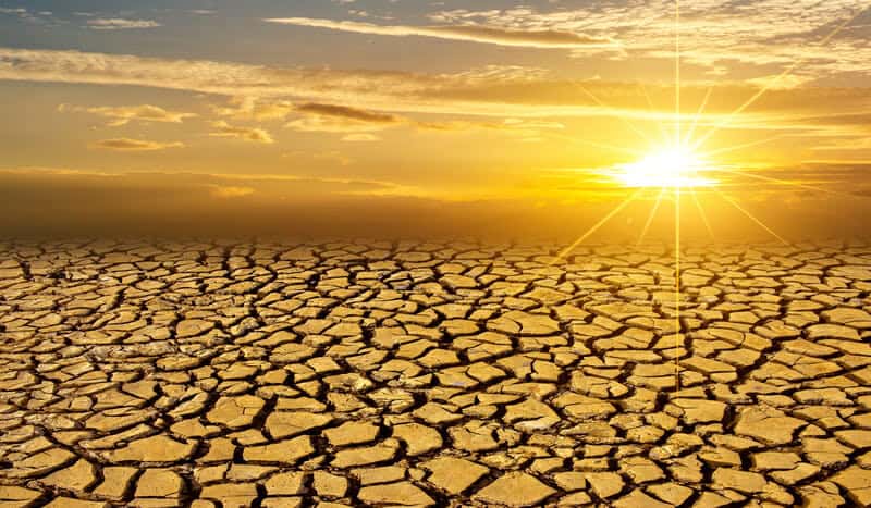 Europa- il bilancio dei morti dal caldo Estate 2023 è spaventoso