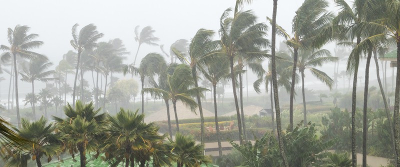 Allerta a Taiwan: evacuazioni per il tifone Haikui, primo in 4 anni