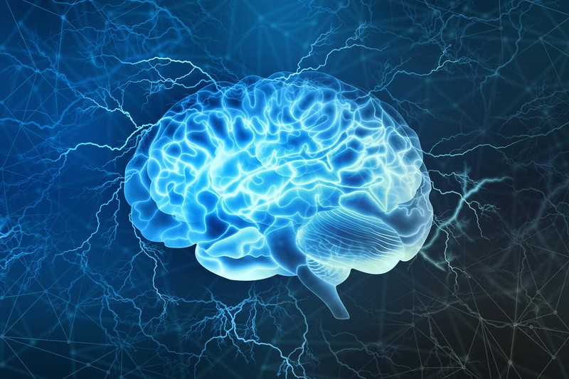 Scienziati scoprono spirali vorticose nel cervello: il tassello mancante nell’elaborazione cognitiva?