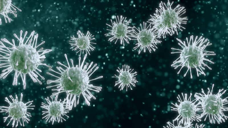 Cina: scoperte preoccupanti sul virus ⁢dell’influenza aviaria ⁢H3N8
