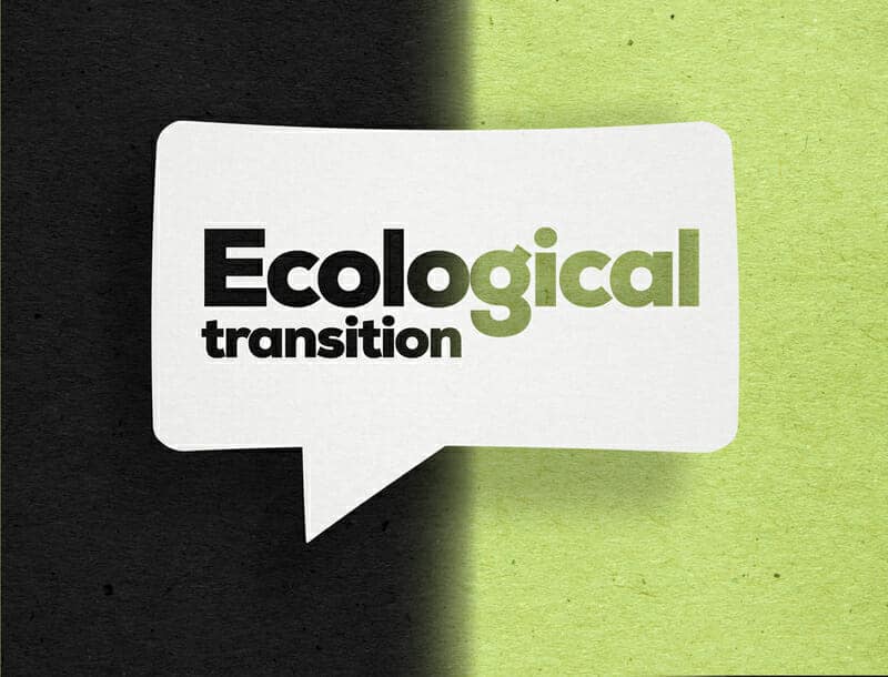 Bce: rischio default aumenta se la transizione ecologica è lenta