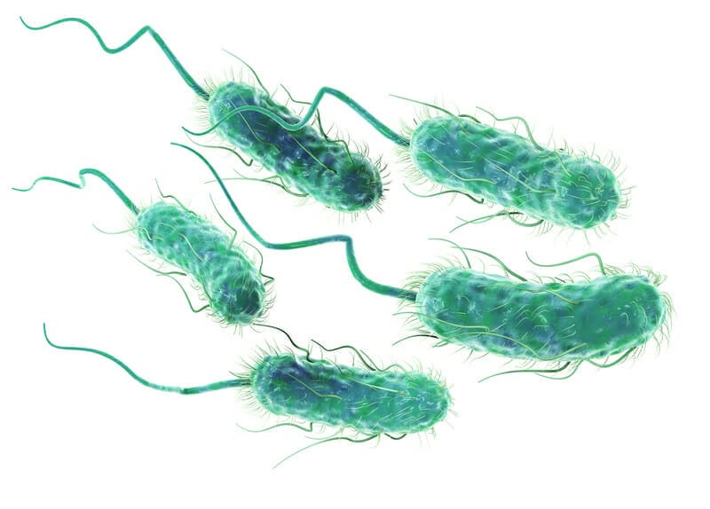 Batteri geneticamente modificati: una rivoluzione per la produzione di energia e la gestione dei rifiuti