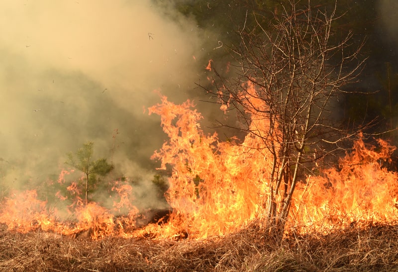 Incendio di vasta portata a Pomezia