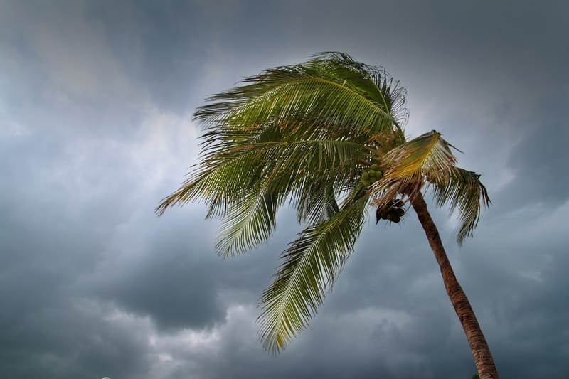 Nuovo disturbo tropicale Invest 95L al largo dell’Africa: da monitorare per sviluppo e traiettoria