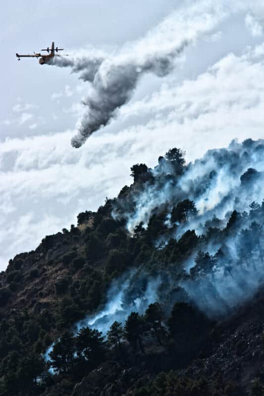 Incendio distrugge la pineta sul Monte Talanico a Caserta