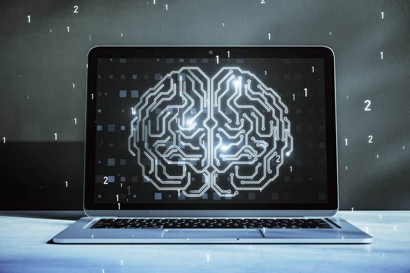 Scienziati rivelano una visione inedita e “dal vivo” della complessità cerebrale