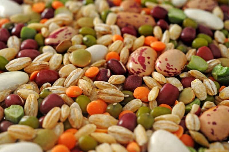 Maggiore diffusione alimenti vegetali per una sostenibilità globale