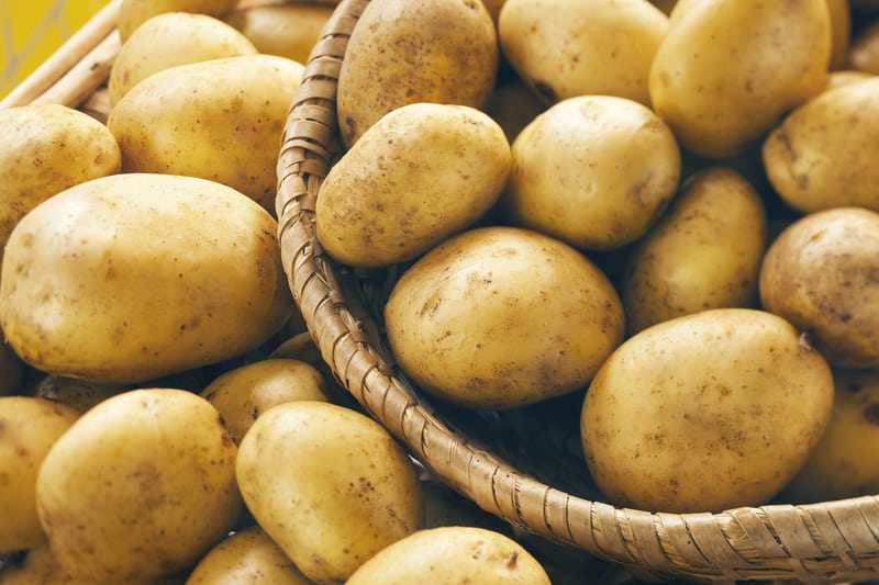Alla Ricerca della Super Patata – Scienziati Creano il Super Pangenoma della Patata