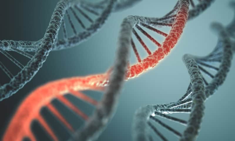 Scienziati scoprono un antico catalizzatore di Fotoredox primordiale