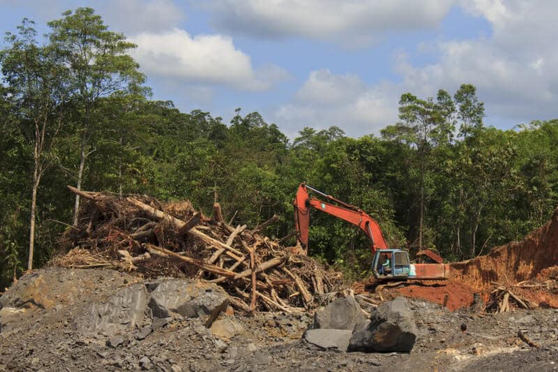 Il colosso dell’agribusiness accusato di deforestazione in Bolivia
