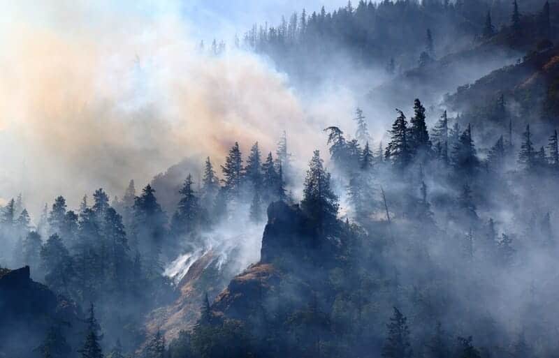 Paura per incendio sul Pollino