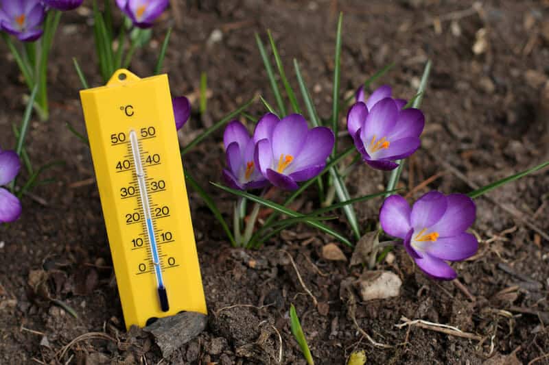 Meteo, temperature in Italia di poco sopra la media, ma rischiano di aumentare