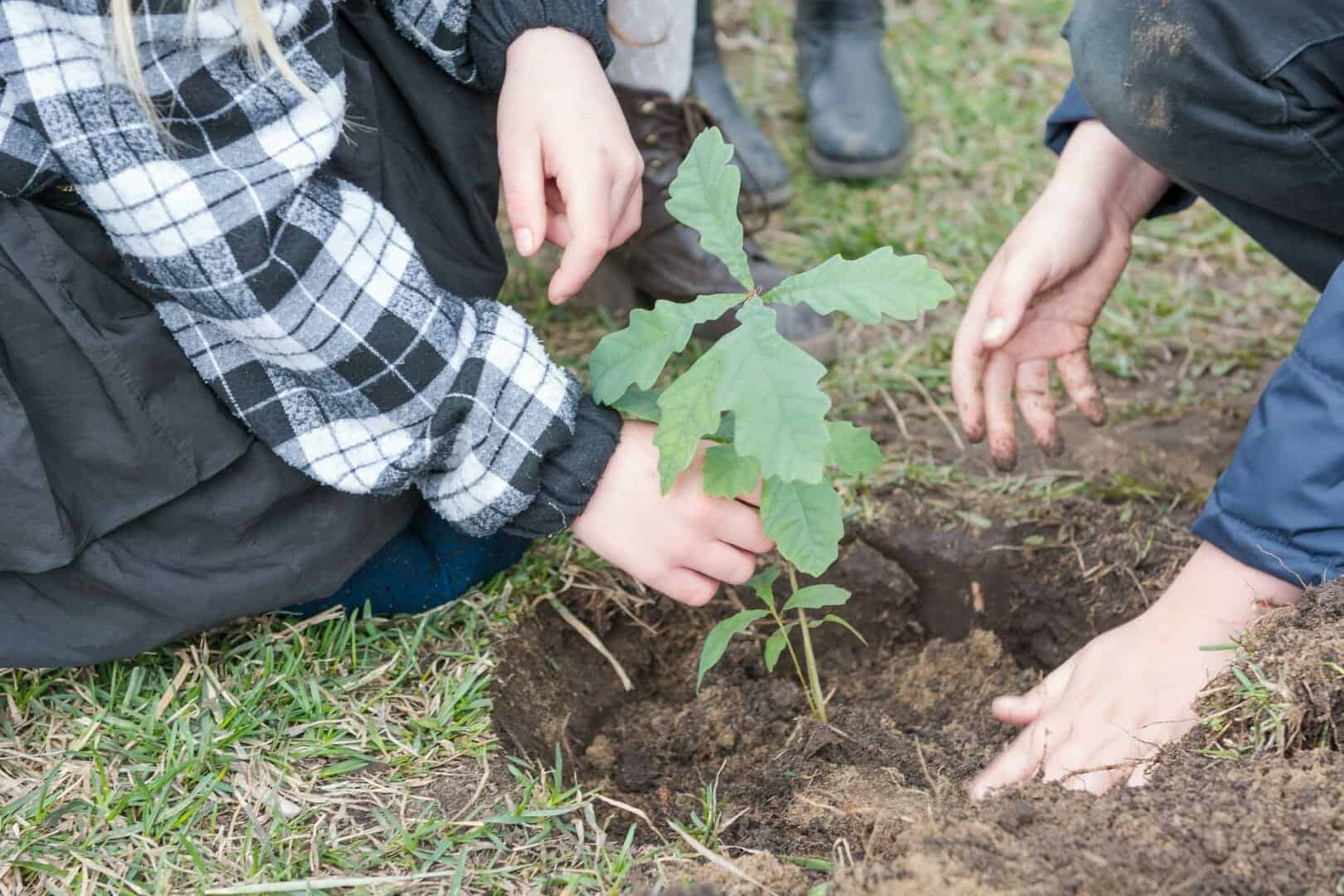 La tecnologia NASA individua i migliori luoghi per piantare alberi
