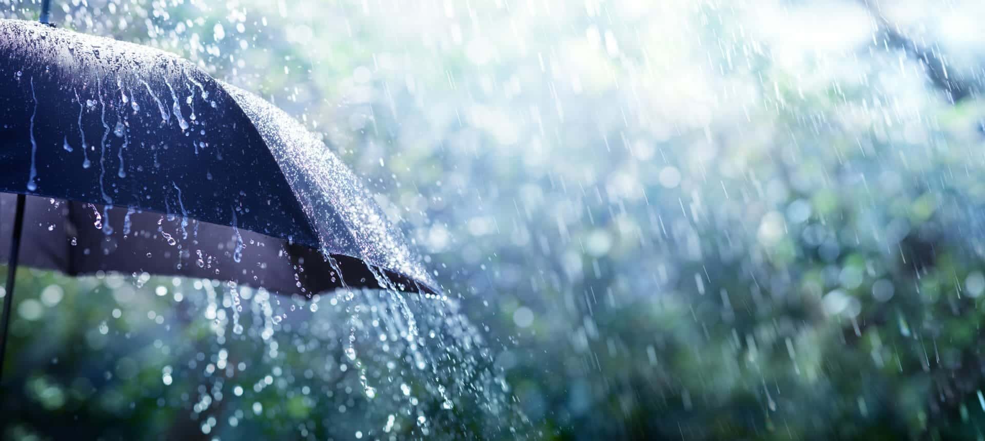 Florida orientale in siccità nonostante le piogge. Le attende benefiche