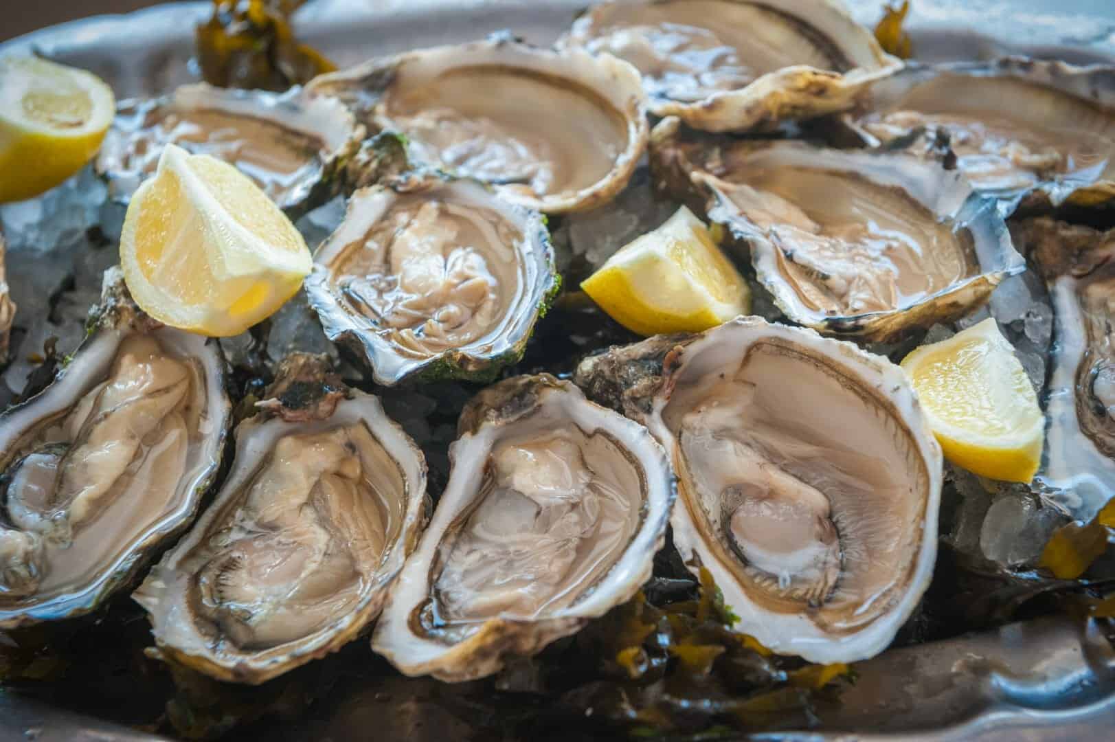 Estinzione di massa ha favorito Ostriche e Vongole
