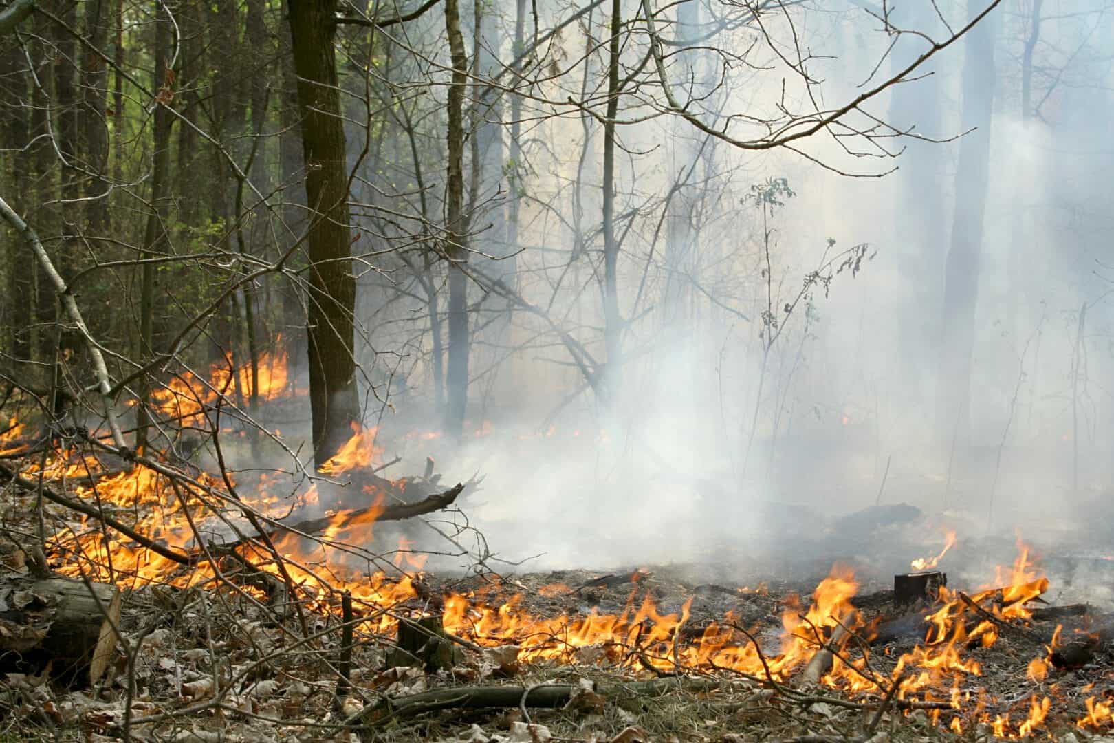Oggi in Sardegna 14 incendi: intervento di un elicottero nell’Oristanese