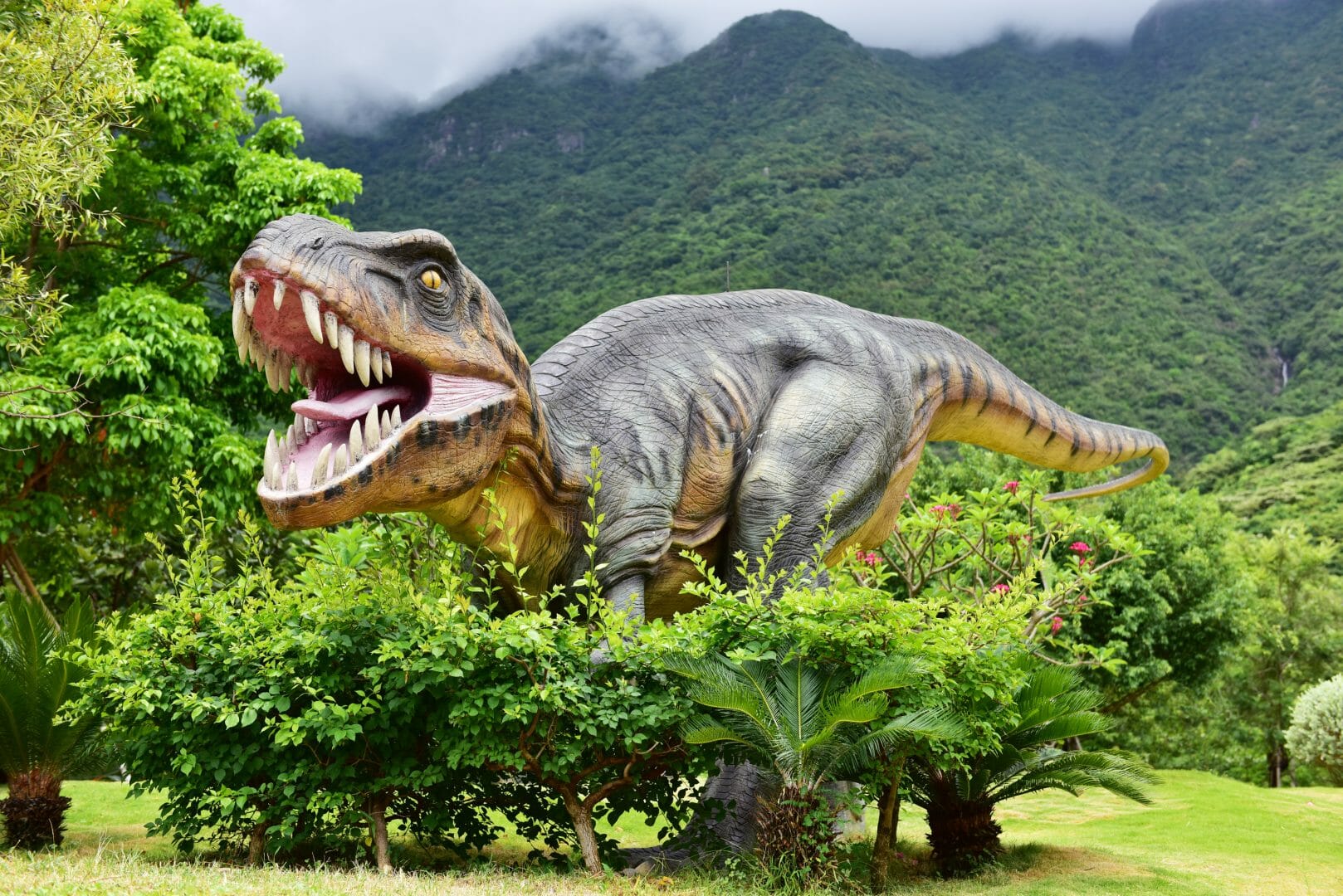 Incredibile scoperta fossile: il predatore supremo di 265 milioni di anni fa che dominava il Brasile prima dei dinosauri