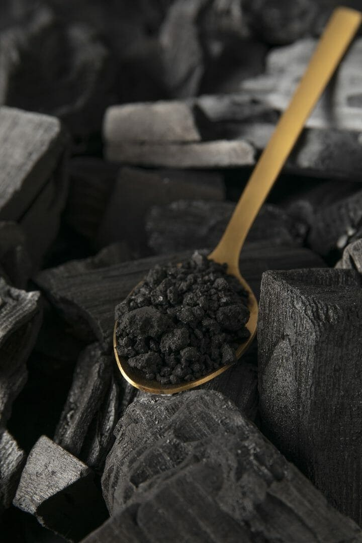 Proveniamo dal carbonio e al carbonio ritorniamo