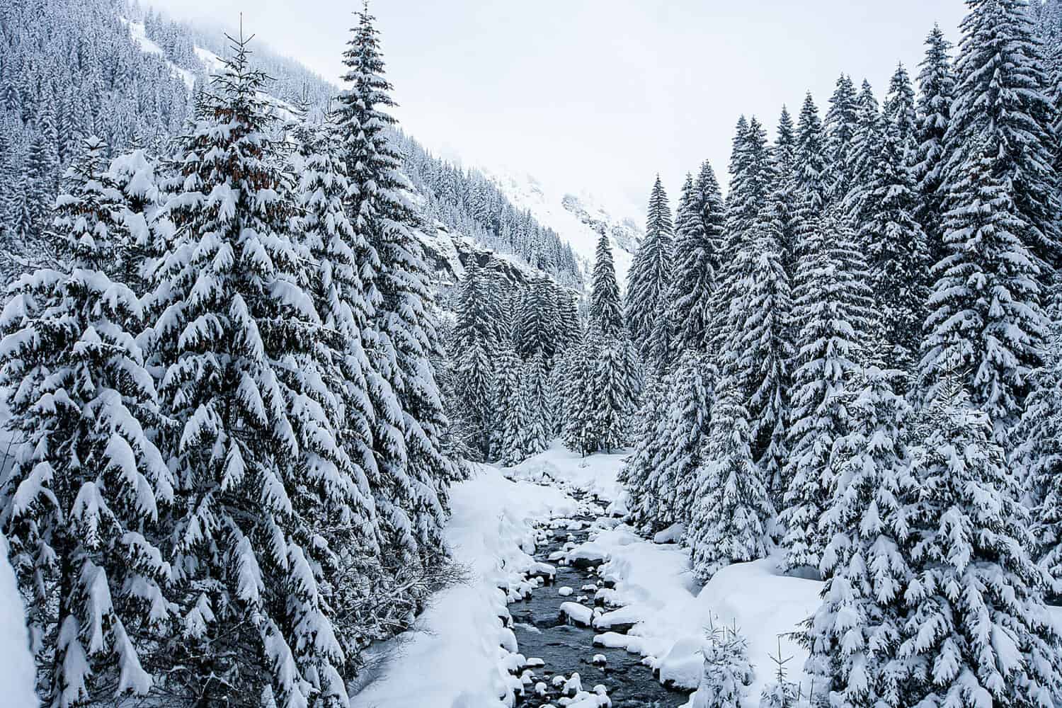 Siberia inizia il congelamento, le prime nevicate e la temperatura precipita a 15 gradi sotto zero